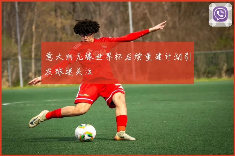 意大利无缘世界杯后续重建计划引发球迷关注