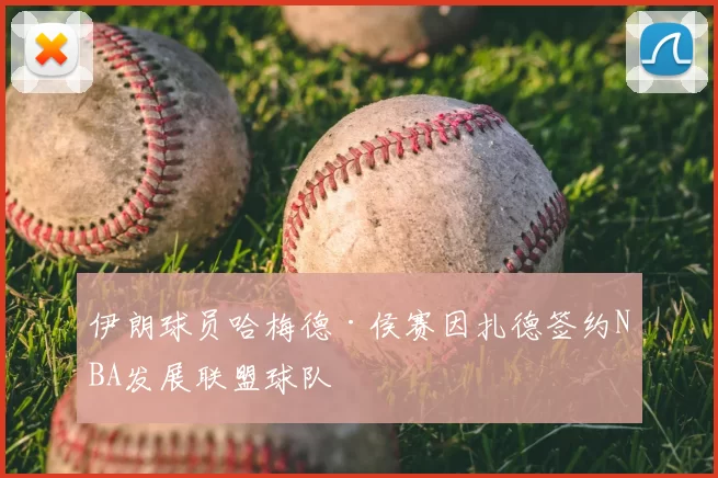 伊朗球员哈梅德·侯赛因扎德签约NBA发展联盟球队