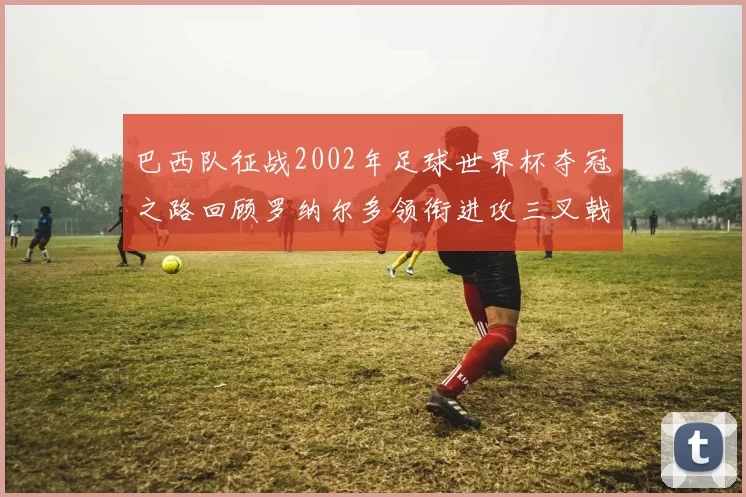 巴西队征战2002年足球世界杯夺冠之路回顾罗纳尔多领衔进攻三叉戟